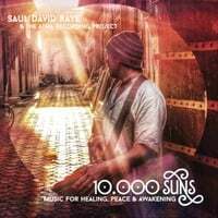 Cover art for 10,000 Suns