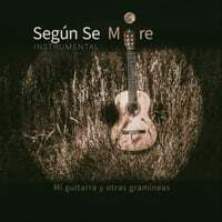 Cover art for Mi Guitarra y Otras Gramíneas