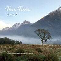 Cover art for Terra Firma: Journey