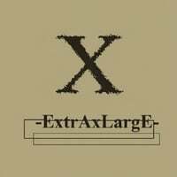 Cover art for X