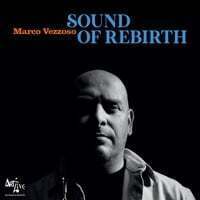 Cover art for Sound of Rebirth
