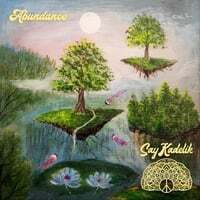 Cover art for Abundance