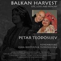 Cover art for Balkan Harvest: Life, Love and Memory